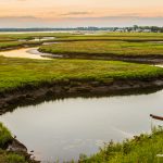 green-marsh